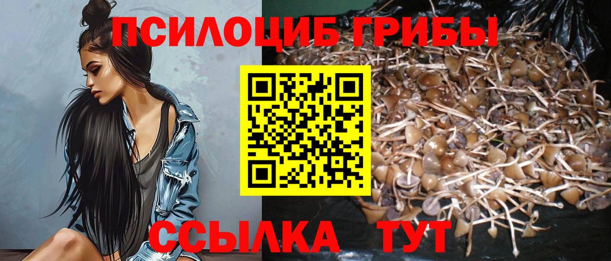 Хасавюрт  Галлюциногенные грибы MAGIC MUSHROOMS  Вход с VPN 