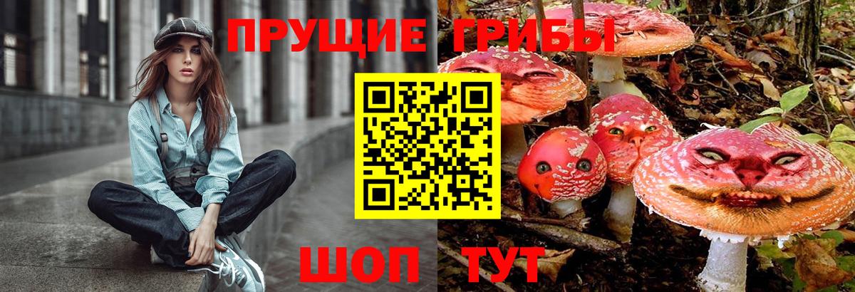 MDMA  Гашиш  Бошки Шишки  Хасавюрт  МЕФ   Вход с VPN 